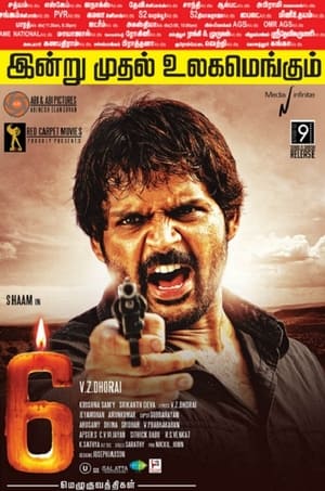 6 Candles (2013) Hindi Dubbed 350MB HD Poster Download - filmyfly