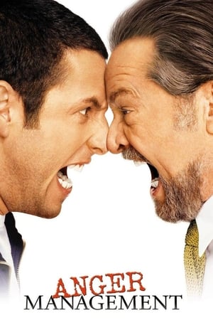 Anger Management (2003) Hindi Dual Audio – HD Poster Download - filmyfly
