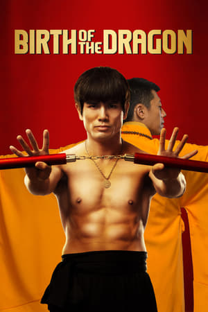 Birth of the Dragon (2016) Hindi Dual Audio 350MB HD Poster Download - filmyfly