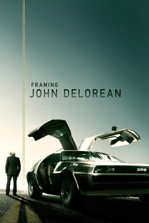 Framing John DeLorean (2019) Hindi Dual Audio [1GB] HD Poster Download - filmyfly
