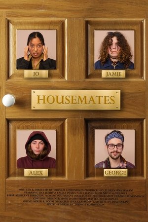 Housemates (2025) Hindi (MULTI AUDIO) – – HD Poster Download - filmyfly