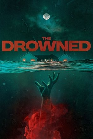 The Drowned (2023) Hindi (MULTI AUDIO) – – HD Poster Download - filmyfly