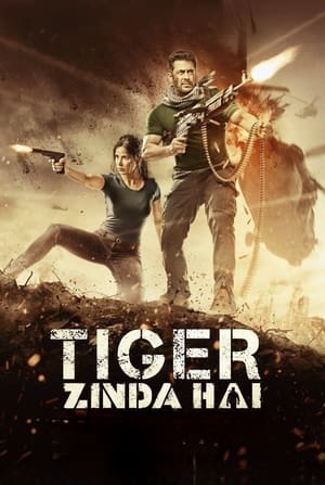 Tiger Zinda Hai 2017 200mb hindi movie Download HD Poster Download - filmyfly